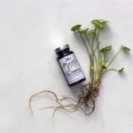Kosttilskud naturlige vitaminer mineraler foodstate præ+ probiotika hos Lykke & velvære i Helsingør Nordsjælland