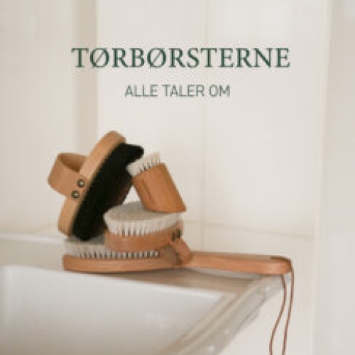 Tørbørster og hårbørste