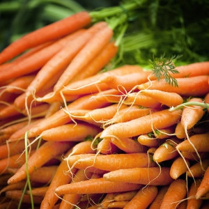 Foodstate