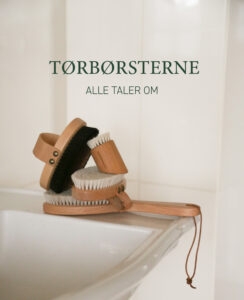 Tørbørster og hårbørste